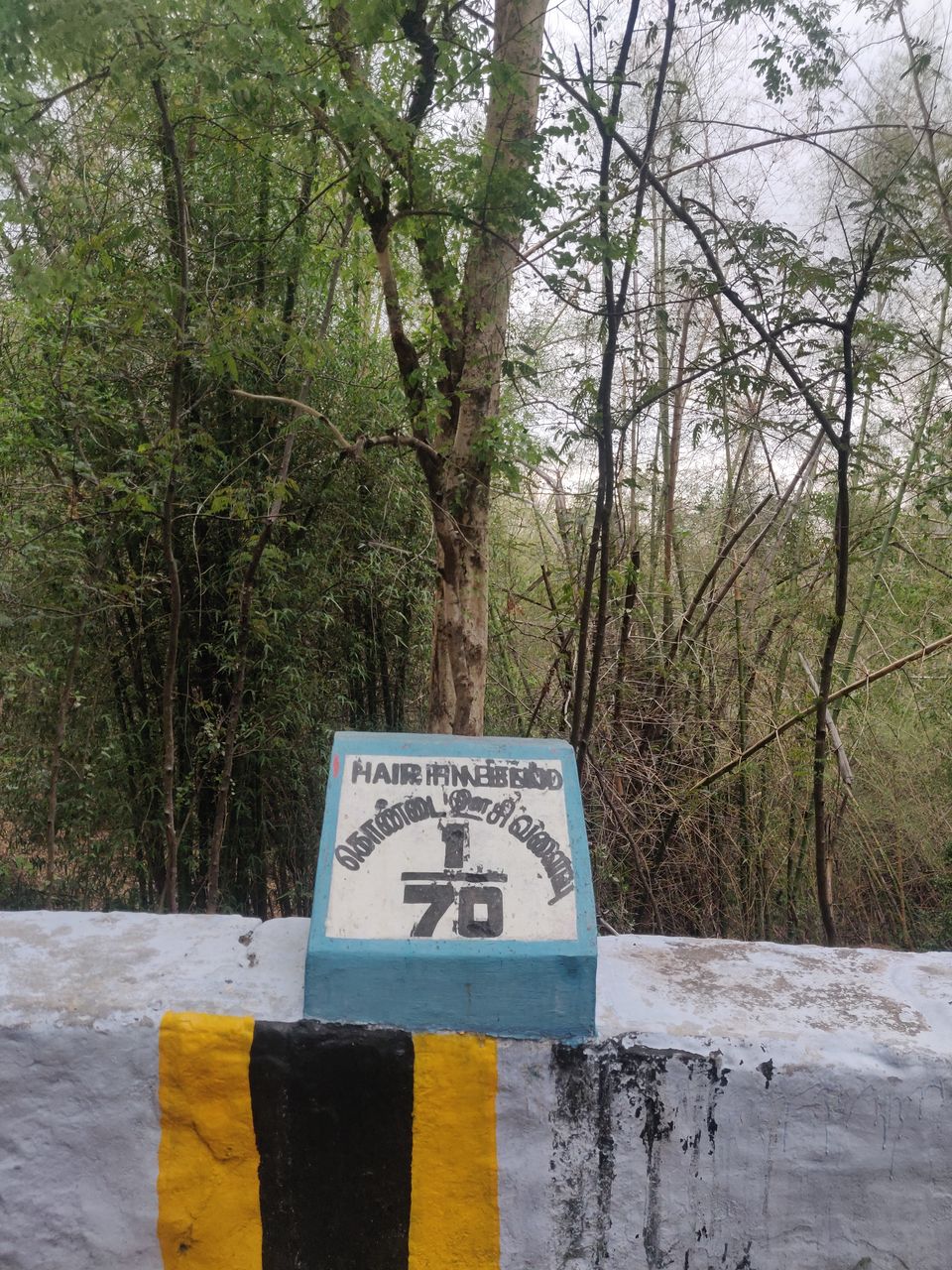 Photo of Get a thrilling view after crossing 70 hairpin bends - Kolli Hills 12/16 by Chaitali Chatterjee