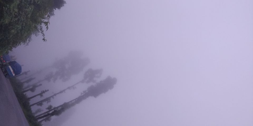 Photo of Road trip to the Land of Thunder Dragon and Country of Happiness - Bhutan by Chaitali Chatterjee