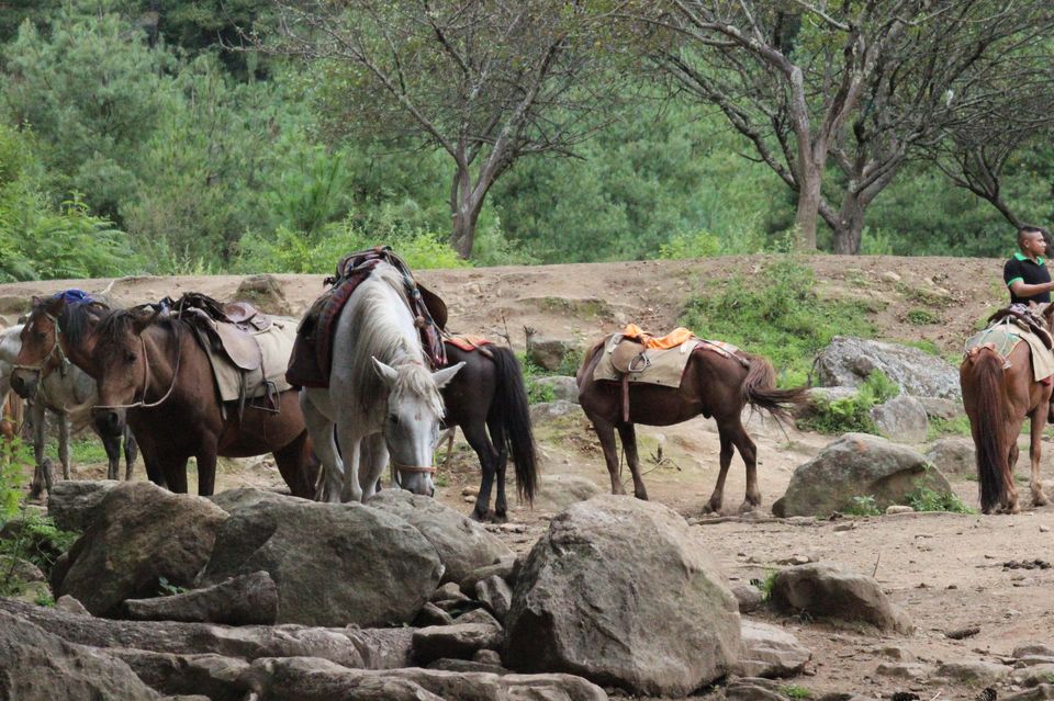 Photo of Road trip to the Land of Thunder Dragon and Country of Happiness - Bhutan by Chaitali Chatterjee