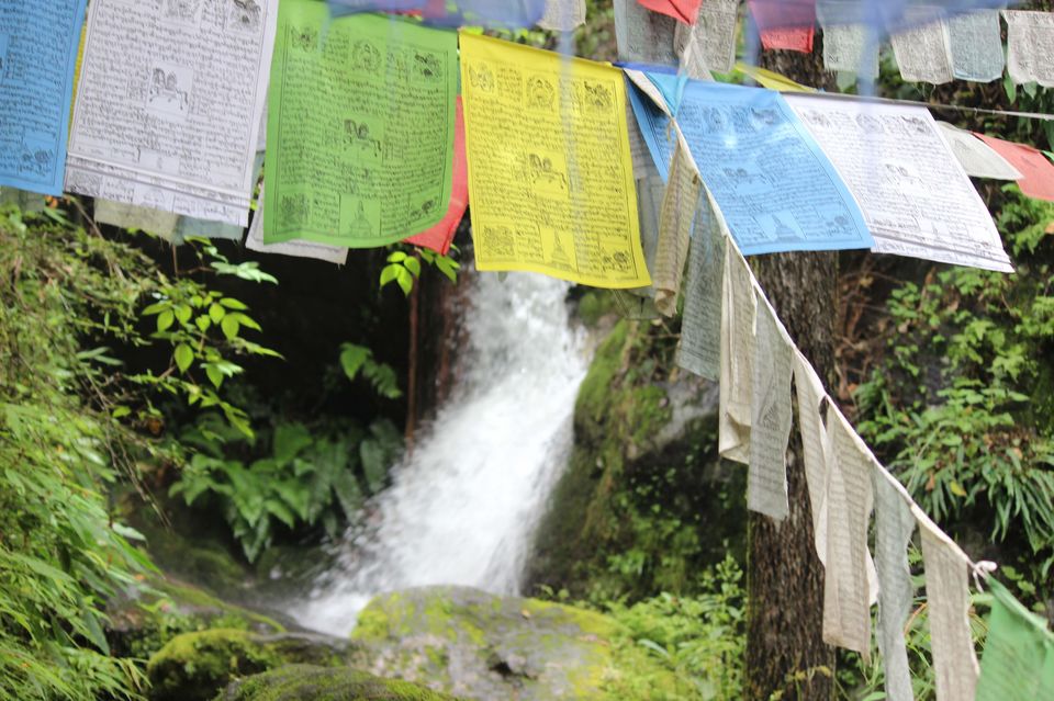 Photo of Road trip to the Land of Thunder Dragon and Country of Happiness - Bhutan by Chaitali Chatterjee