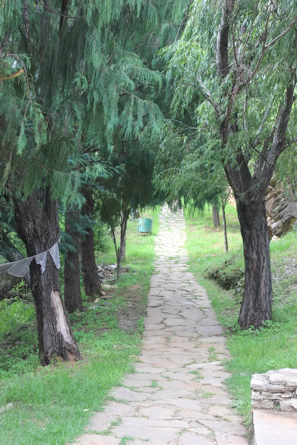 Photo of Mo Chhu River, Bhutan by Chaitali Chatterjee