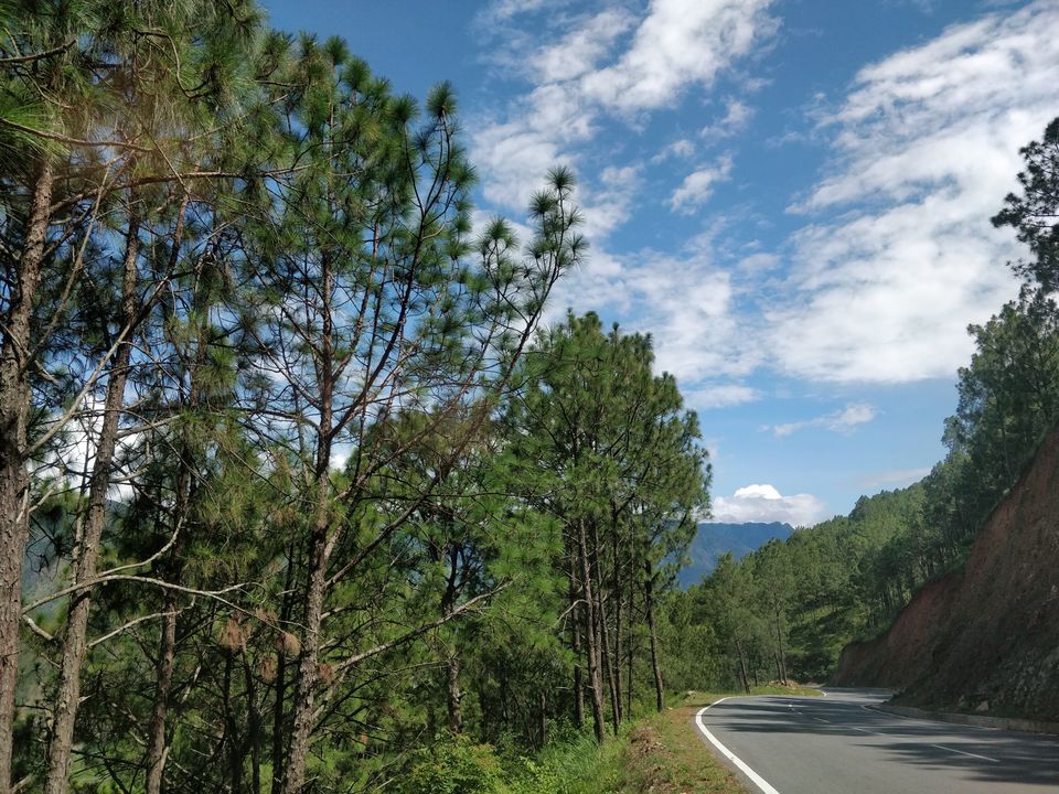 Photo of Road trip to the Land of Thunder Dragon and Country of Happiness - Bhutan by Chaitali Chatterjee