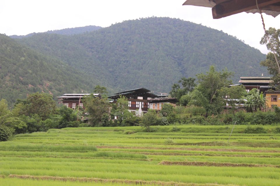 Photo of Punakha Suspension Bridge, Punakha, Bhutan by Chaitali Chatterjee