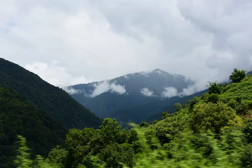 Photo of Risum Resort, Bhutan by Chaitali Chatterjee