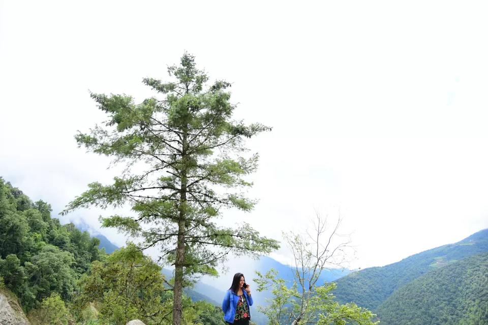 Photo of Risum Resort, Bhutan by Chaitali Chatterjee