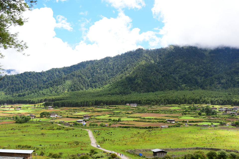 Photo of Phobjikha Valley, Wangdue Phodrang, Bhutan by Chaitali Chatterjee