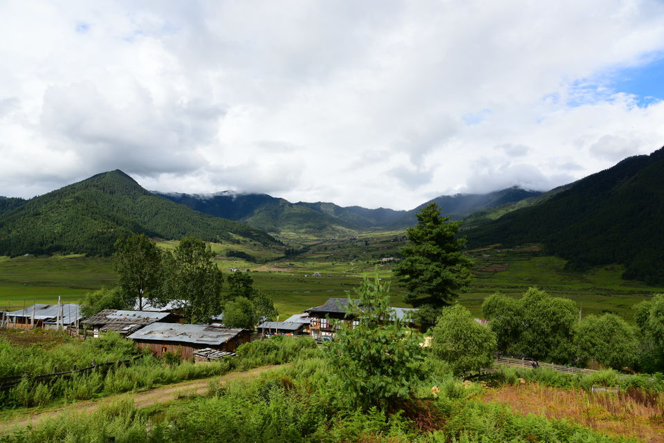 Photo of Phobjikha Valley, Wangdue Phodrang, Bhutan by Chaitali Chatterjee