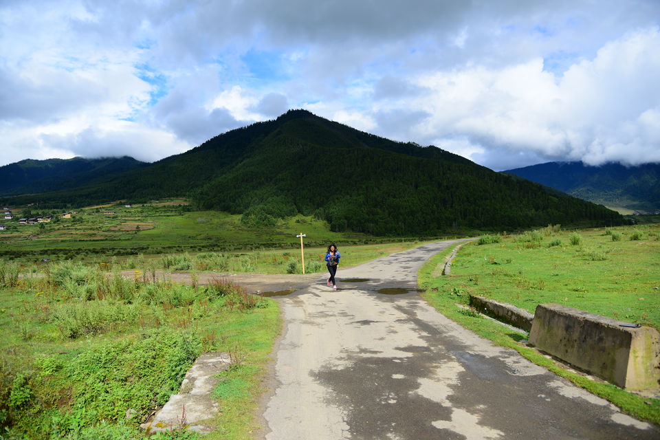 Photo of Phobjikha Valley, Wangdue Phodrang, Bhutan by Chaitali Chatterjee