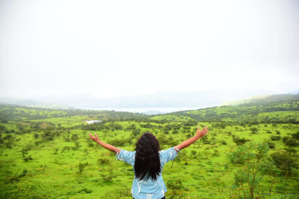 Photo of Kaas Plateau of Flowers, Maharashtra by Chaitali Chatterjee