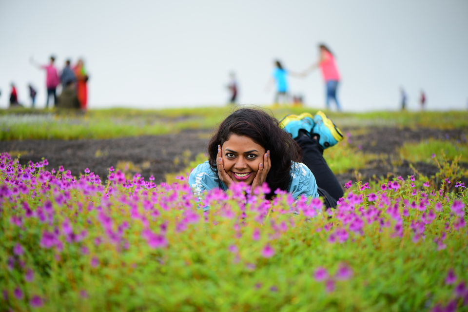 Kaas Plateau or Kaas Pathar - UNESCO World Natural Heritage Site - Tripoto