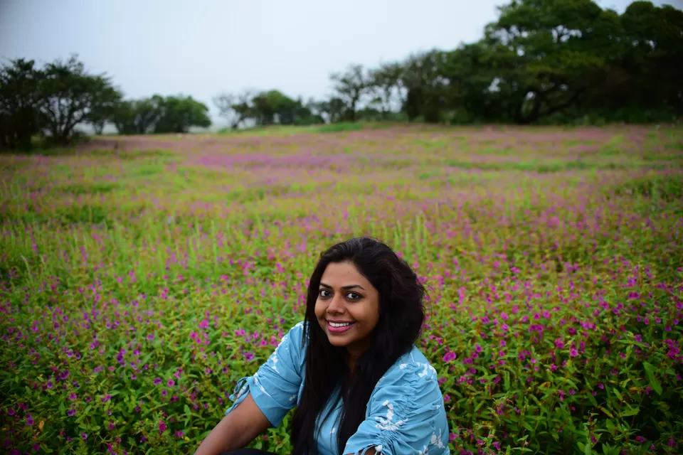Photo of Kaas Plateau of Flowers, Maharashtra by Chaitali Chatterjee