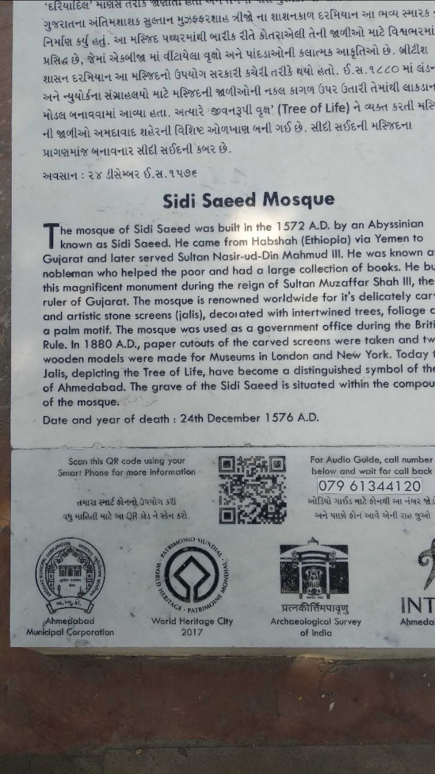 Photo of Sidi Saiyyed Mosque, Bhadra Road, Opposite Electricity House, Old City, Gheekanta, Lal Darwaja, Ahmedabad, Gujarat, India by pavan