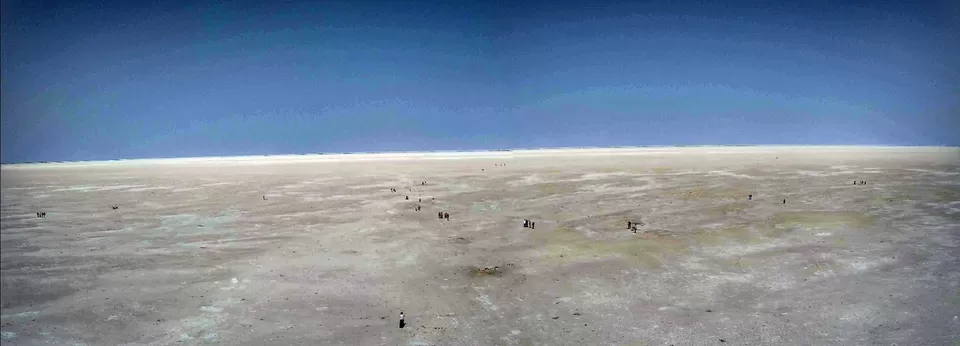 Photo of Dhordo, Gujarat, India by pavan