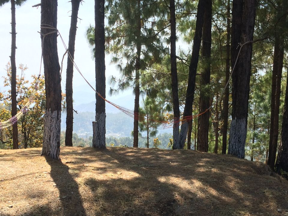 Photo of Solo ride - Delhi to Lansdowne ( nearest hill station to Delhi) 7/19 by Sunny Kumar