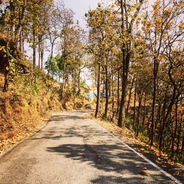 Photo of Solo ride - Delhi to Lansdowne ( nearest hill station to Delhi) 14/19 by Sunny Kumar