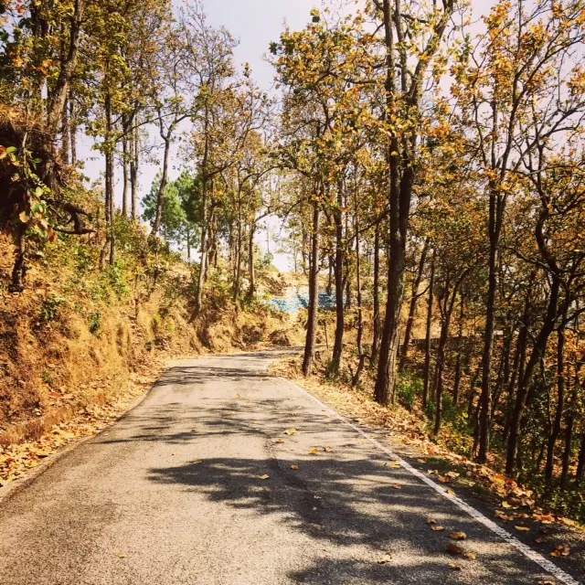 Photo of Lansdowne, Lansdowne, Uttarakhand 246155, India by Sunny Kumar