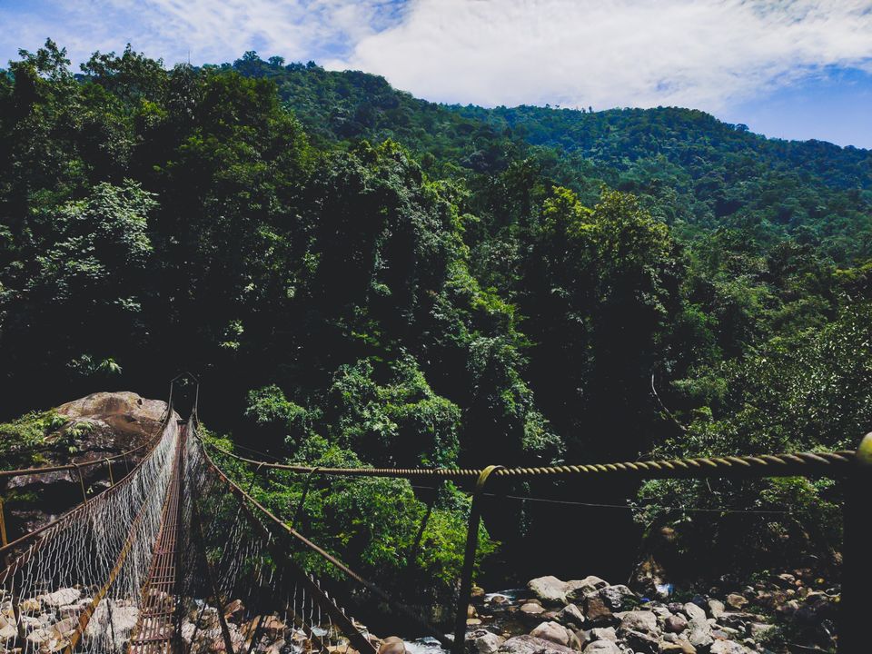 Photo of Root Bridge, Meghalaya, India by Sourav Ghosh