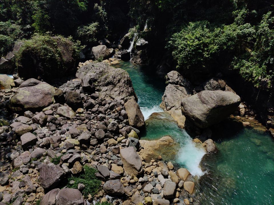 Photo of Root Bridge, Meghalaya, India by Sourav Ghosh