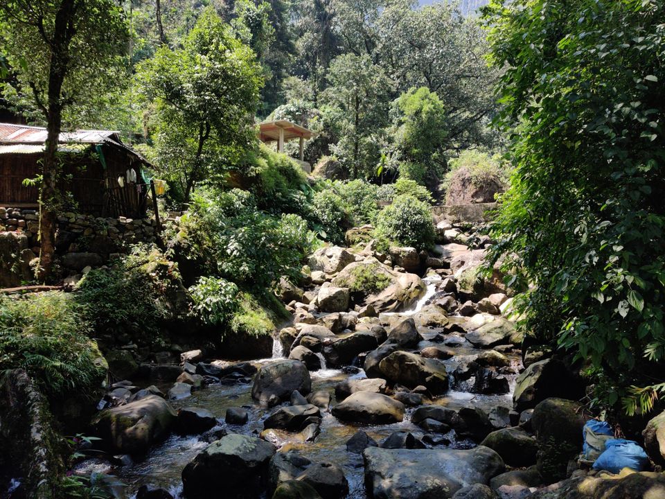 Photo of Root Bridge, Meghalaya, India by Sourav Ghosh