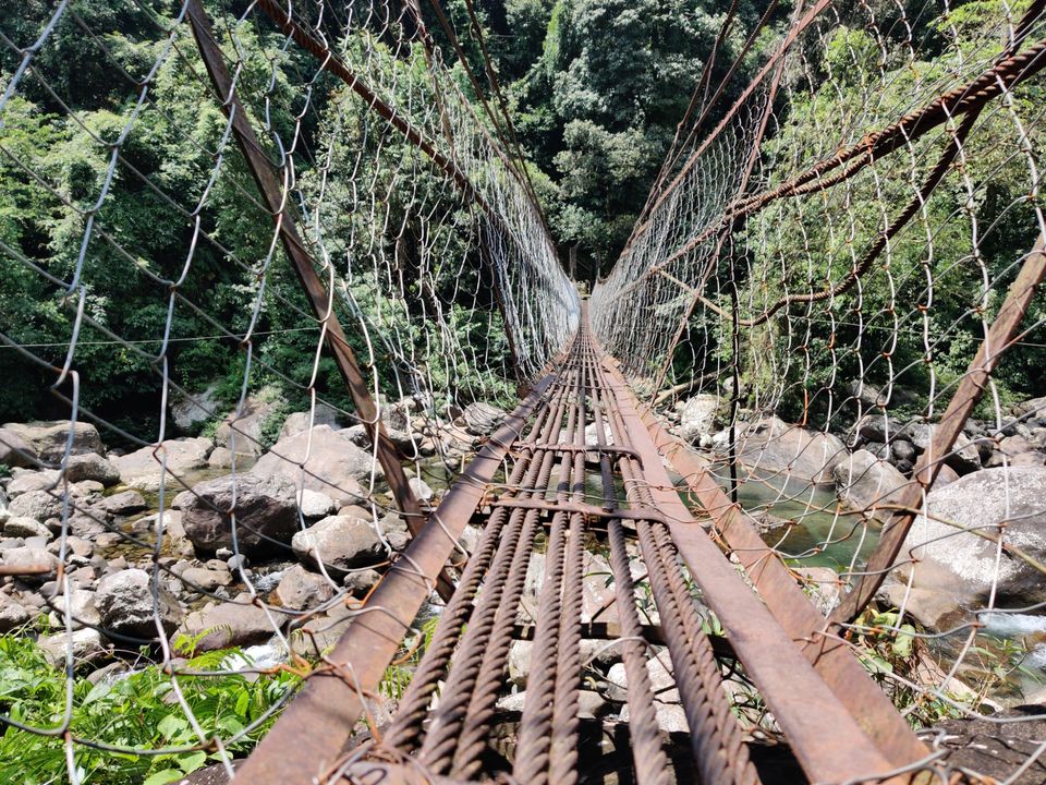 Photo of Root Bridge, Meghalaya, India by Sourav Ghosh