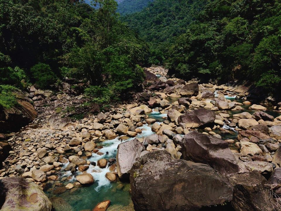 Photo of Root Bridge, Meghalaya, India by Sourav Ghosh