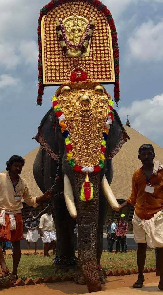 Photo of Do you believe unity in diversity. Have a look at the cultural event thrissur pooram by Sureshkumar C