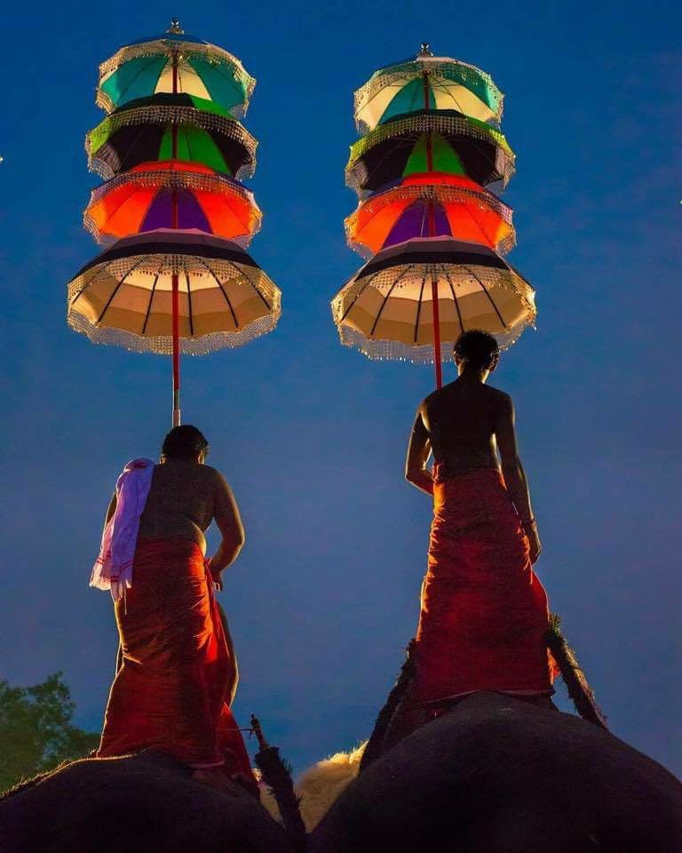 Photo of Do you believe unity in diversity. Have a look at the cultural event thrissur pooram by Sureshkumar C