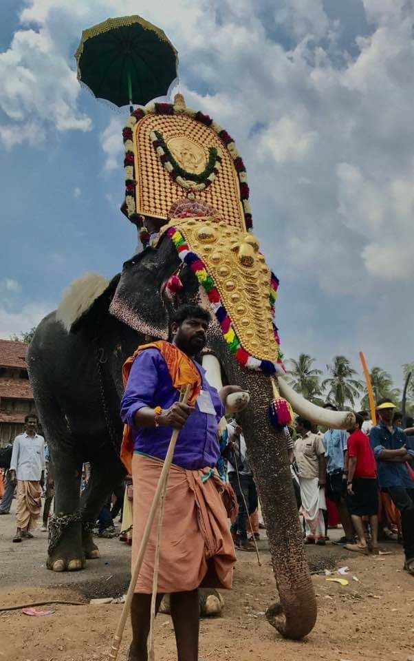 Photo of Do you believe unity in diversity. Have a look at the cultural event thrissur pooram by Sureshkumar C