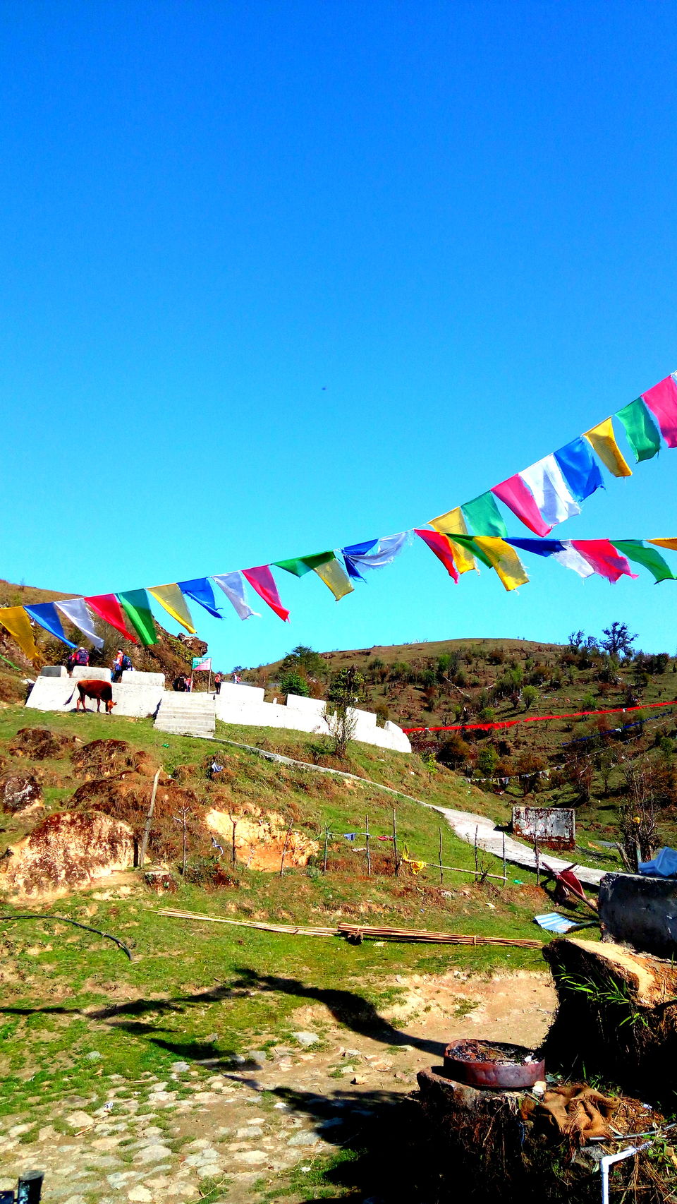 Photo of Sandakphu Diary-Confessions of a solo traveler by Debjani Lahiri