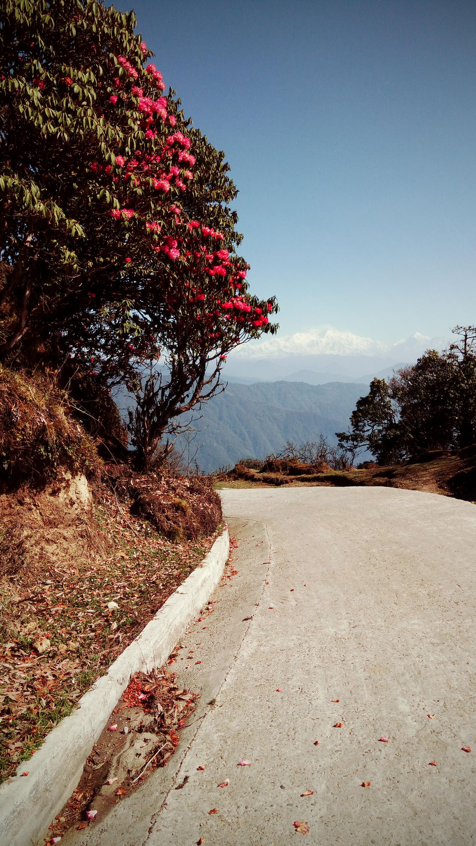 Photo of Sandakphu Diary-Confessions of a solo traveler by Debjani Lahiri