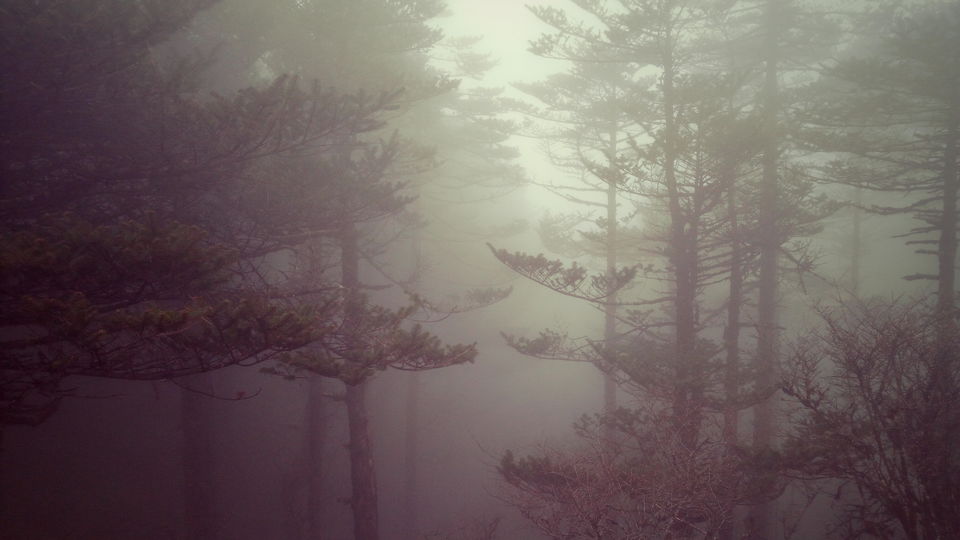 Photo of Sandakphu Diary-Confessions of a solo traveler by Debjani Lahiri