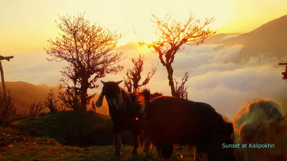 Photo of Sandakphu Diary-Confessions of a solo traveler by Debjani Lahiri