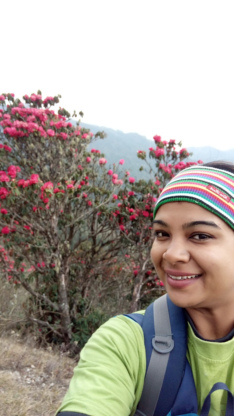 Photo of Sandakphu Diary-Confessions of a solo traveler by Debjani Lahiri
