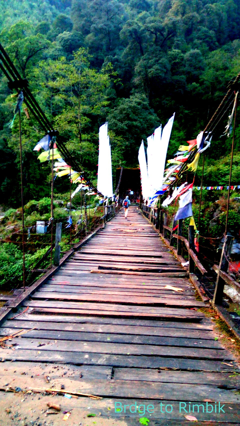 Photo of Sandakphu Diary-Confessions of a solo traveler by Debjani Lahiri