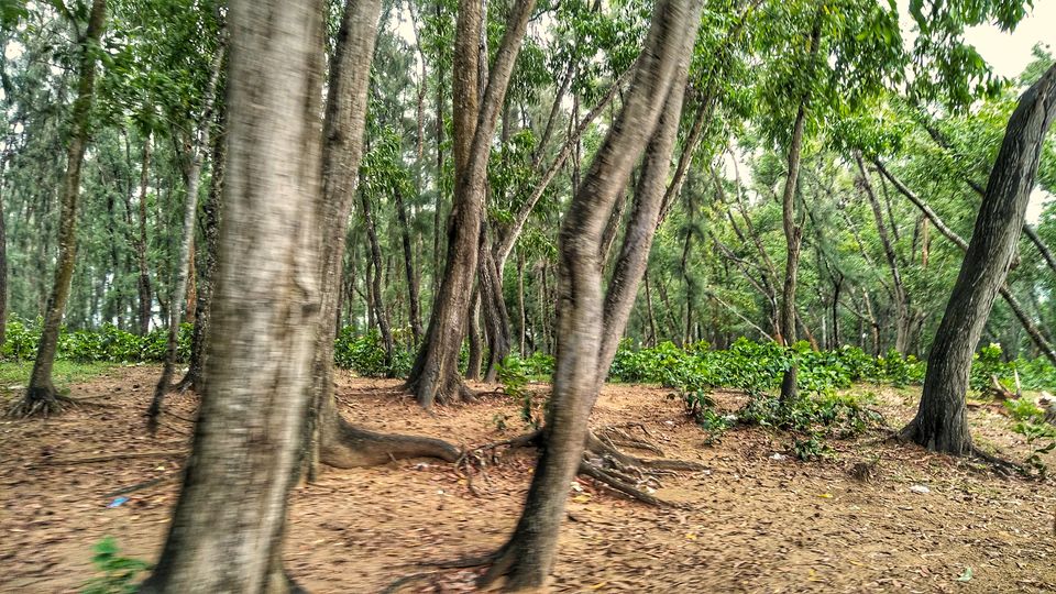 Photo of NH116, Dighasipur, Haldia, West Bengal, India by Debjani Lahiri