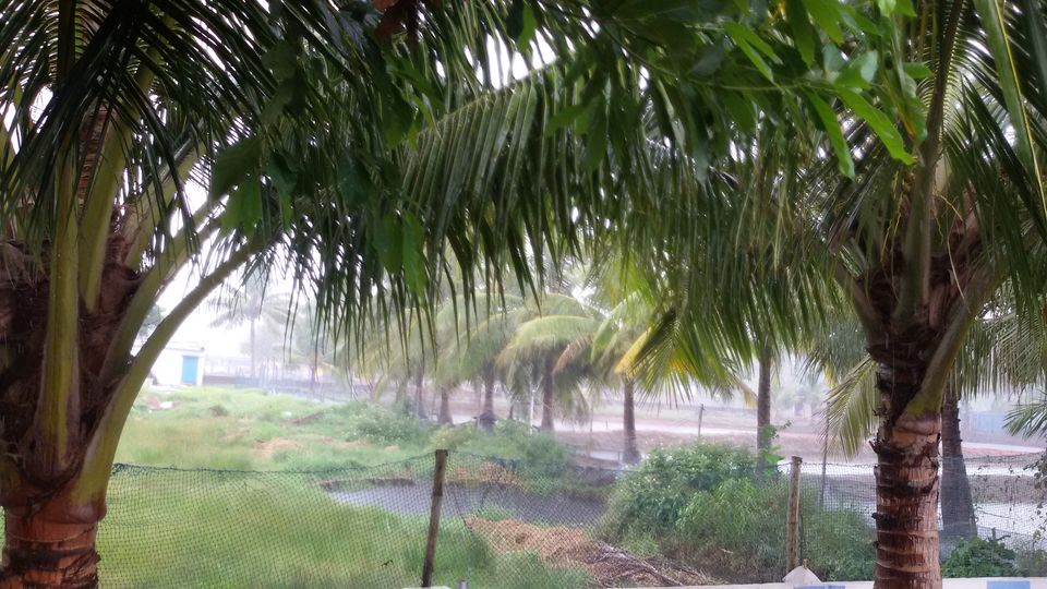 Photo of NH116, Dighasipur, Haldia, West Bengal, India by Debjani Lahiri