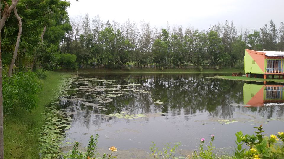 Photo of NH116, Dighasipur, Haldia, West Bengal, India by Debjani Lahiri