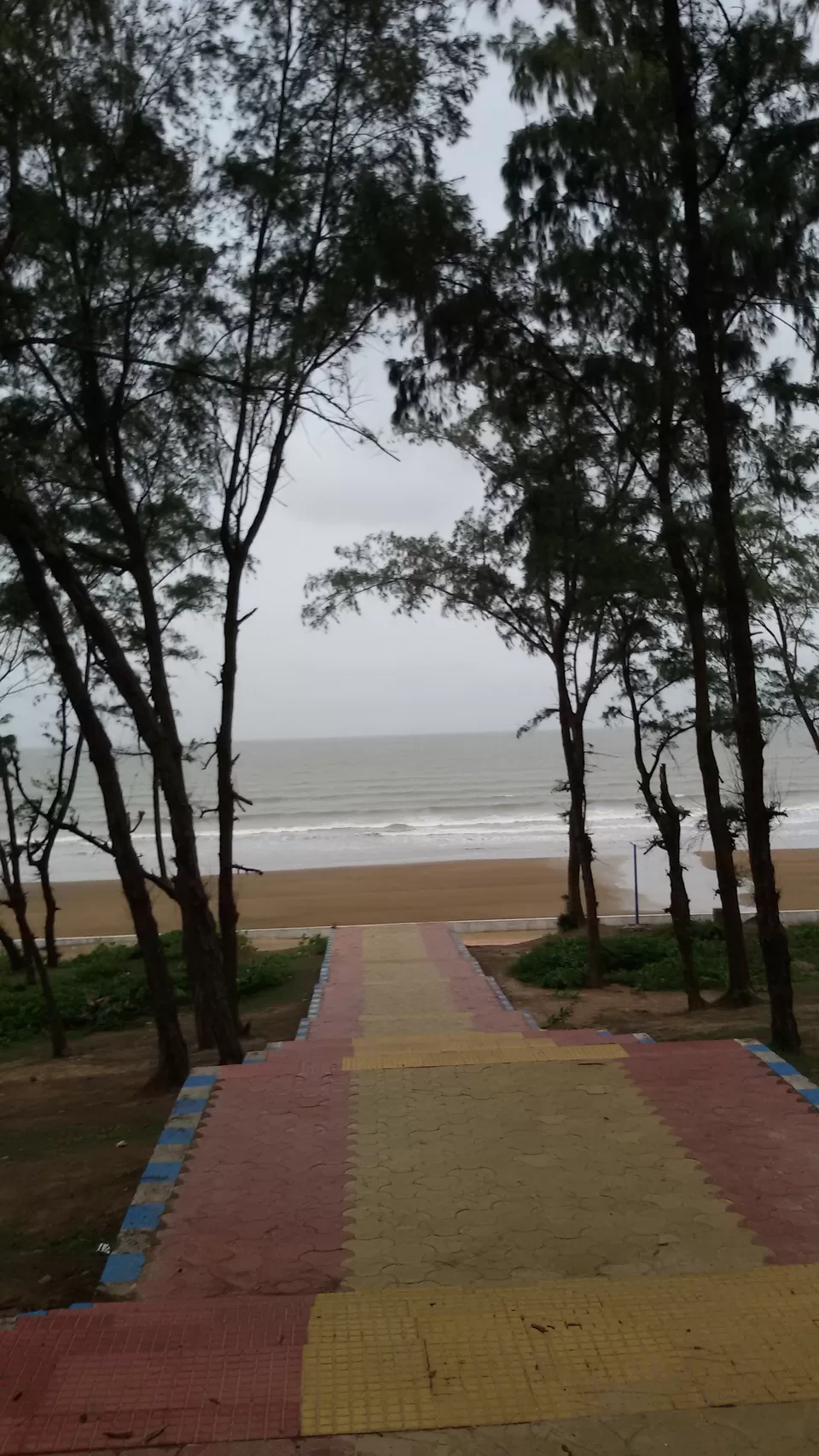 Photo of Talasari- Udaypur- New Digha Road, New Digha, Udaypur, Odisha, India by Debjani Lahiri