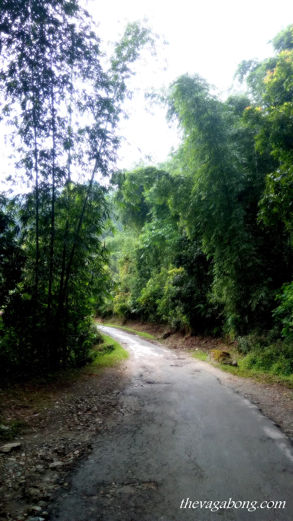 Photo of ARITAR by Debjani Lahiri