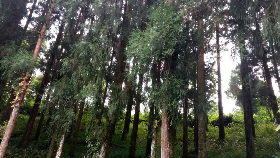 Photo of ARITAR by Debjani Lahiri