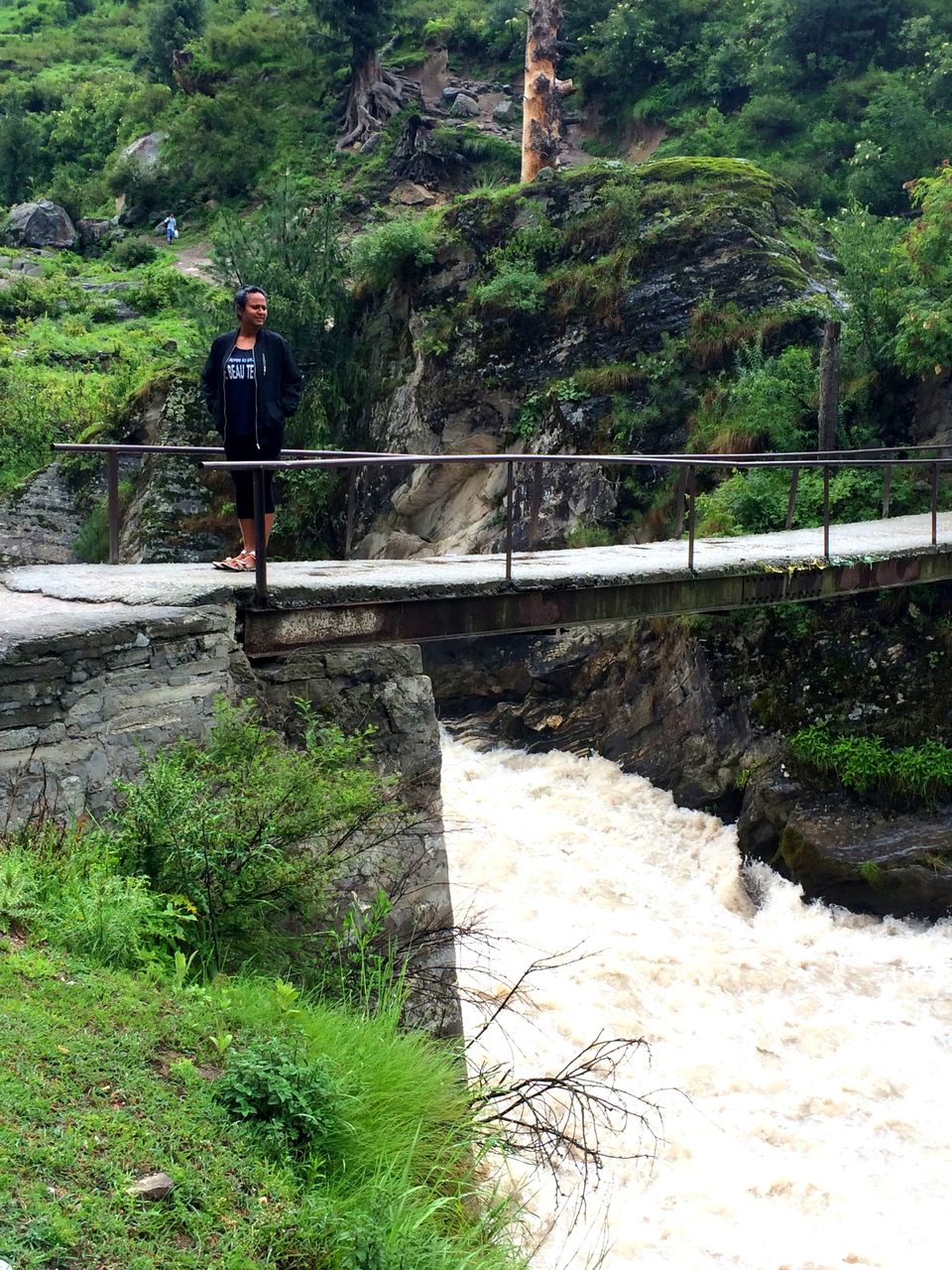Photo of Curious Case of Brownies in Tosh, Himachal Pradesh 5/15 by Kanika Gupta