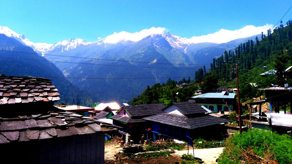 Photo of Curious Case of Brownies in Tosh, Himachal Pradesh 7/15 by Kanika Gupta