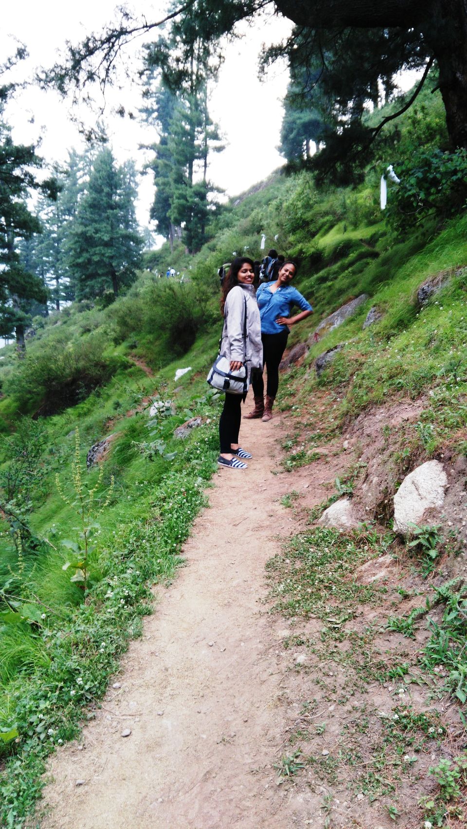 Photo of Curious Case of Brownies in Tosh, Himachal Pradesh 9/15 by Kanika Gupta