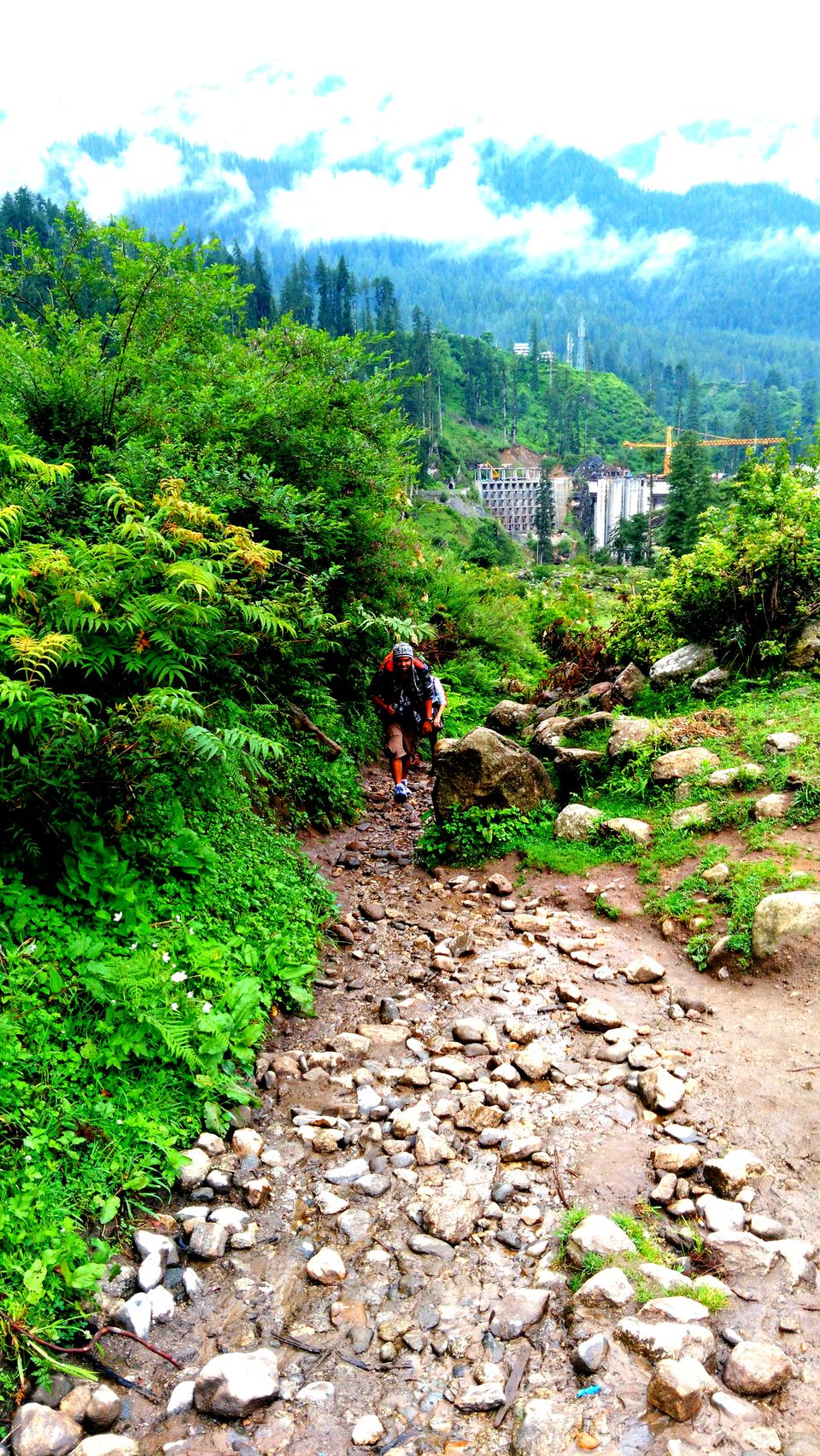 Photo of Curious Case of Brownies in Tosh, Himachal Pradesh 12/15 by Kanika Gupta
