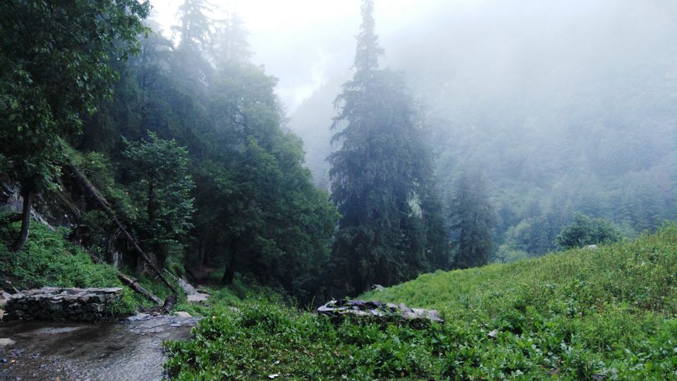 Photo of Curious Case of Brownies in Tosh, Himachal Pradesh 13/15 by Kanika Gupta