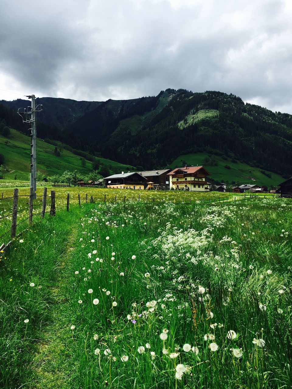 Photo of Grossarl Tal: Austrian Alps' Best Kept Secret 16/24 by Kanika Gupta