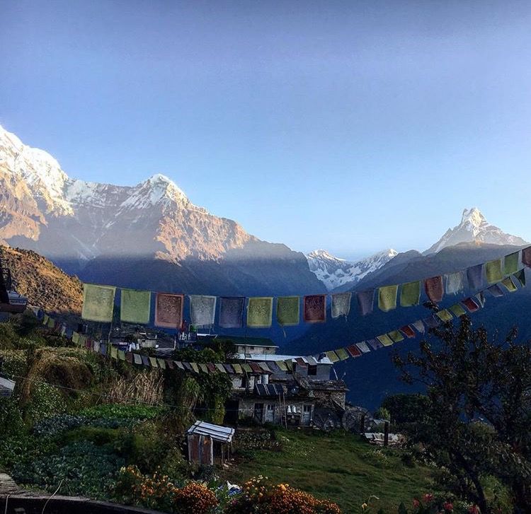 Photo of My Solo Trek to Annapurna Base Camp: If I Can Do It, So Can You! (Part 1) 8/9 by Kanika Gupta