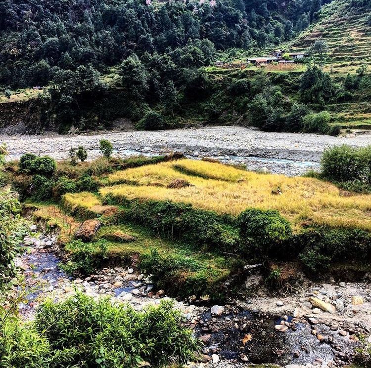 Photo of My Solo Trek to Annapurna Base Camp: If I Can Do It, So Can You! (Part 1) 9/9 by Kanika Gupta