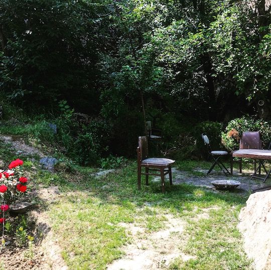 Photo of My Solo Travel in Kashmir: Somewhere Among Kashmiriyat, Curfew and Kahwa, I left my Heart Behind | l 1/17 by Kanika Gupta