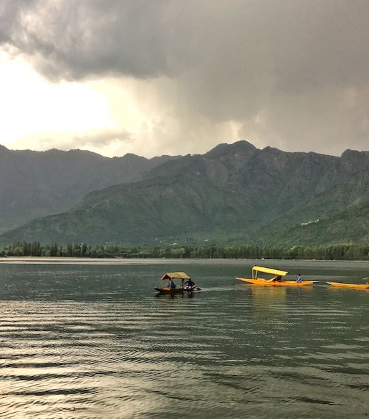 Photo of My Solo Travel in Kashmir: Somewhere Among Kashmiriyat, Curfew and Kahwa, I left my Heart Behind | l 2/17 by Kanika Gupta